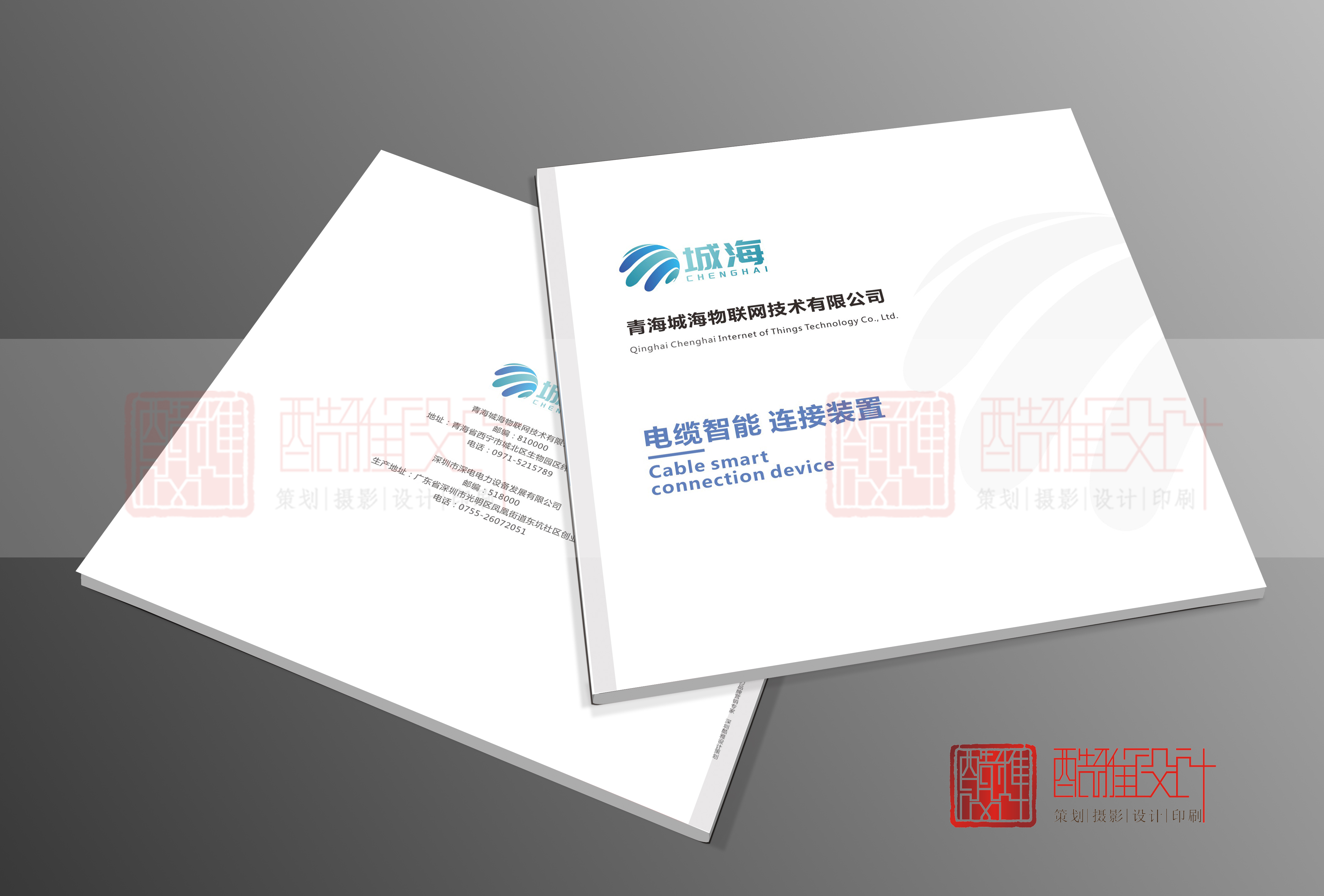 <strong>青海城海物联网技术有限公司</strong>